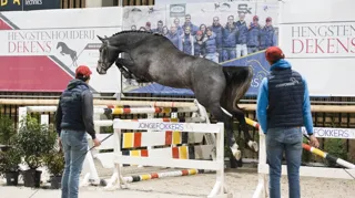 Bomaco Winter Jumping ontvangt opnieuw de National Free Jump Contest