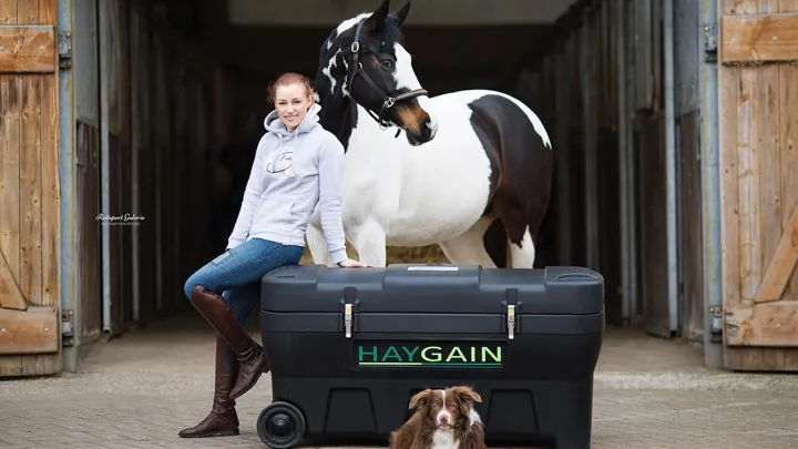 A Cheval
