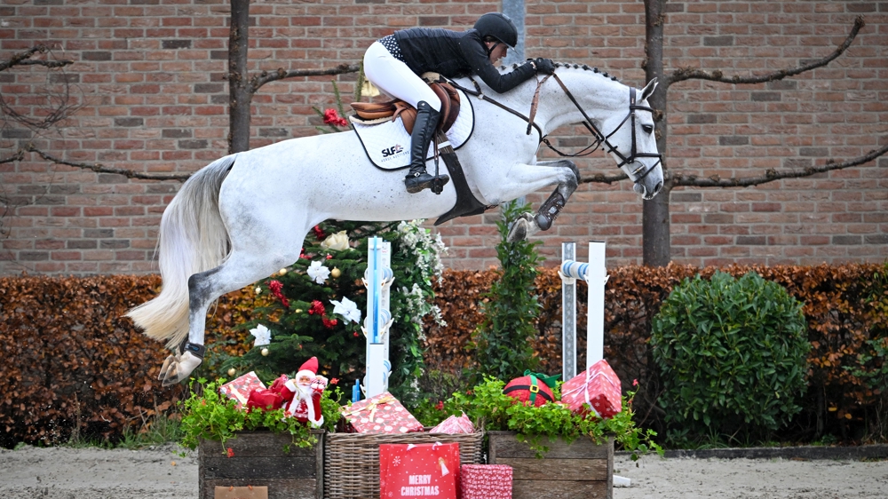 Des chevaux exceptionnels et des embryons vous attendent aux enchères SLF !