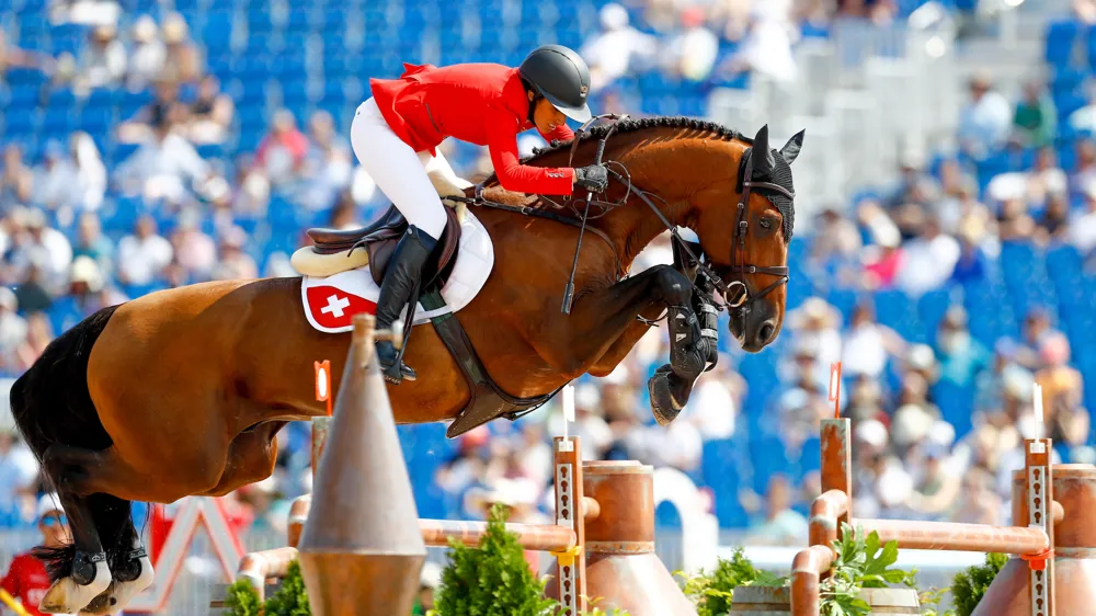 Spectaculaire partenaire de Janika Sprunger jusqu'aux Jeux équestres mondiaux de Tryon, l'étalon Bacardi pourrait donner un nouveau tournant à sa carrière de reproducteur au sein de l'Hexagone.