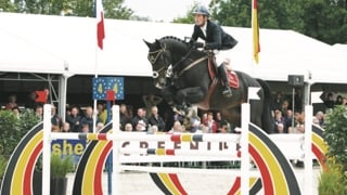 Ici au championnat du monde des six ans à Lanaken, Qlassic Bois Margot a été formé par le Normand Marc Dilasser.