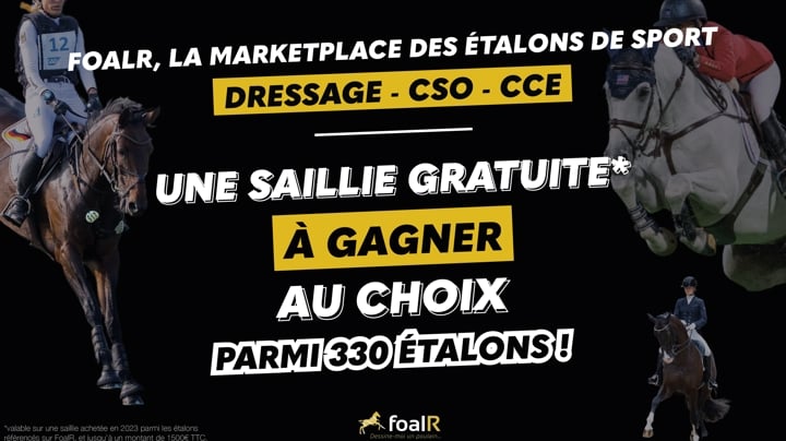 FoalR, la nouvelle marketplace des étalons de sport, offre une saillie gratuite à choisir parmi 330 étalons !