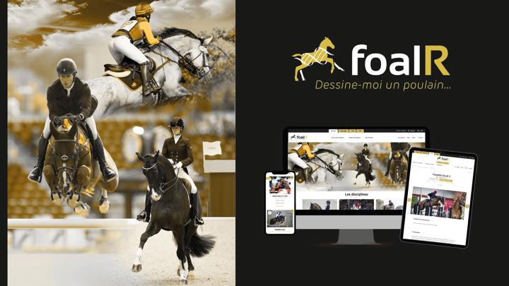 FoalR, une base de données centralisées qui ravit éleveurs et étalonniers de tous horizons