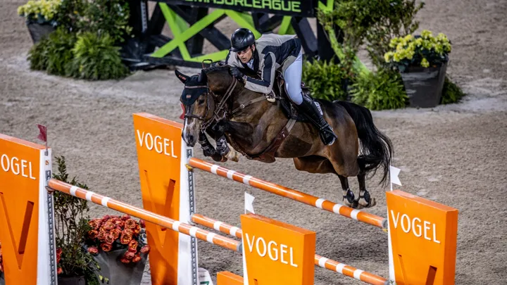 Nicola Philippaerts et Gadget Mouche, neuf ans, ont dominé un très beau plateau à Tryon.
