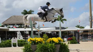 Cadans van de Ijzervallei Z blijft zijn indrukwekkende vorm etaleren in Wellington