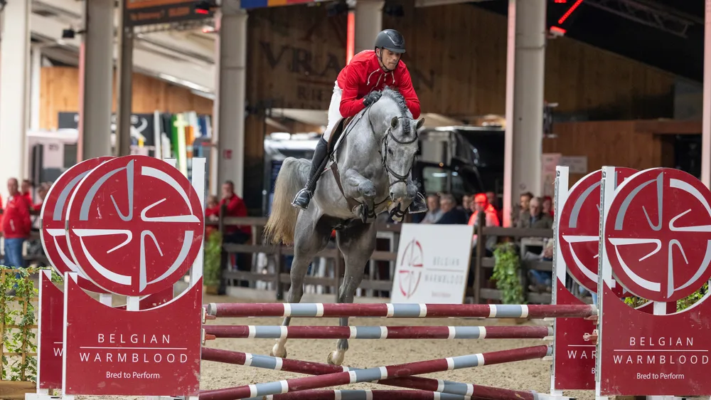 Aquino A van de Nachtegaele maakte indruk tijdens de hengstenkeuring