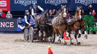 Met vertrouwen naar Bordeaux — en dat laat Degrieck meteen zien