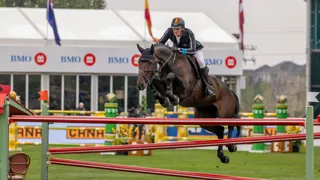 Philippaerts leidt sterke Belgische dag in viersterrenrubrieken