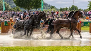 Winst voor Dries Degrieck