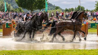 Zilver en brons voor Dries Degrieck