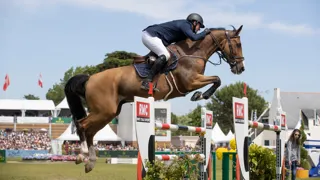 Ace of Hearts en Lotti Blue Z zorgen voor Belgisch podiumsucces
