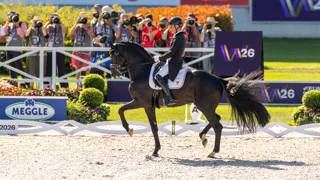 Vijfde plaats voor Justin Verboomen in Grand Prix Special van Aken