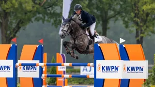 Vicaris JW van de Moerhoeve