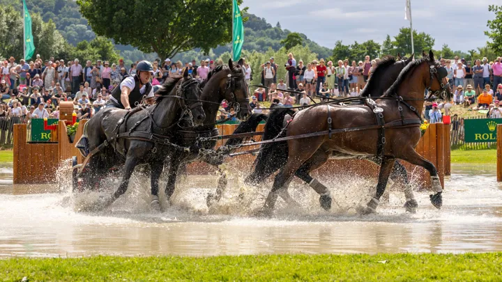 Zilver en brons voor Dries Degrieck