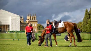 De internationale selecties