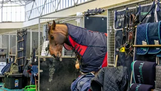 Aftellen naar een nieuwe internationale week