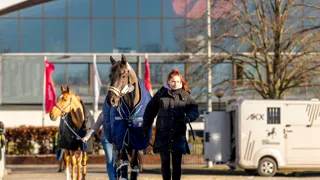 Aftellen naar een nieuwe internationale week