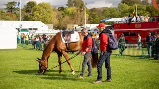 Aftellen naar een nieuwe internationale week