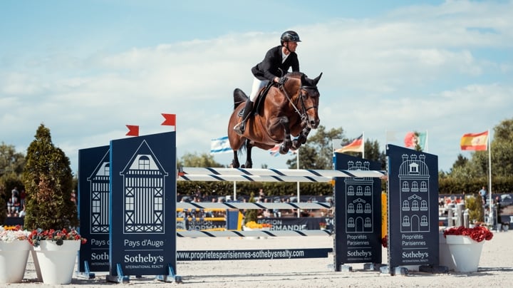 Diego de Blondel, un cheval de coeur et un étalon doué qui signe sa production