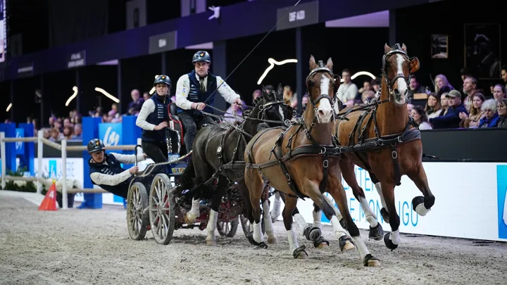 Dries Degrieck a remporté sa première finale de la Coupe du monde d'attelage.
