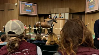 En Normandie, UniLaSalle Rouen propose le MS® MESB, une formation d’excellence en douze mois pour former les futurs managers et décideurs de la filière équine.