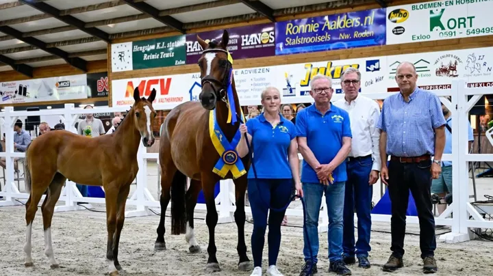 Harmonie LN Z won de reeks voor merrieveulens