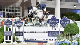 Corbie V.V. Z triomfeert in viersterren Grote Prijs van Ocala