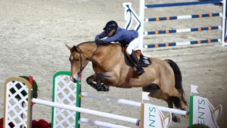 Repenser les équipements traditionnels par le prisme du bien-être, comme l’a fait le cavalier de saut d’obstacles Grégory Cottard, est nécessaire. L’essor des mors non métalliques – ici avec I-Bride –, bien qu’encore minoritaires, permet une avancée notable.