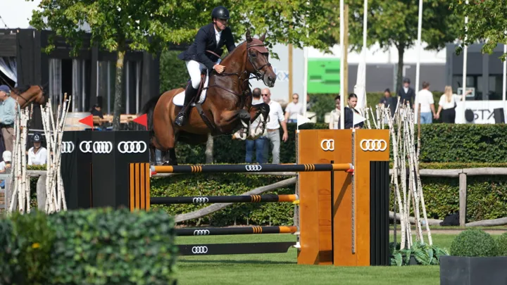 Yves Vanderhasselt achtste met Emerald-zoon Merald van 't Zorgvliet