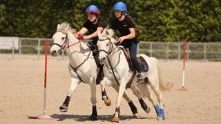 Le Grand Tournoi fédéral des sports équestres a aussi accueilli des épreuves de pony-games