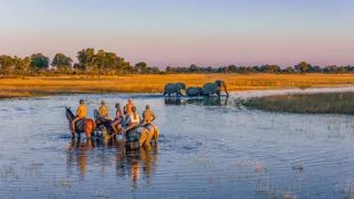 Ici, au Botswana, les safaris à cheval de Cheval d’Aventure permettent d’approcher la faune sauvage directement depuis la selle.