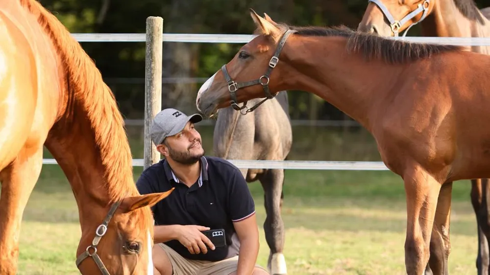 Genesis Horse Breeding