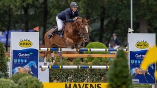 Christophe Vanderhasselt