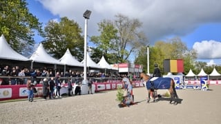 Rendez-vous le dimanche 20 avril pour découvrir qui succèdera à la cavalière belge Gudrun Patteet dans le Grand Prix 3* Cheval Liberté à 1m55.