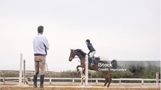 Il est difficile d’imaginer une véritable culture du bien-être équin sans une connaissance fine des besoins fondamentaux du cheval.