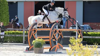 Philippaerts opent sterk in Kronenberg, waaronder met deze Hipster SV in de rankingproef