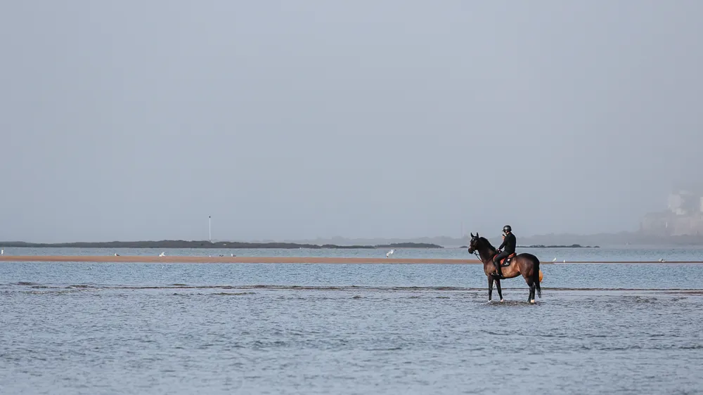 Deuxième du Grand Prix Rolex, l’excellent Conner de Martin Fuchs a tiré tous les bénéfices de ses sorties matinales sur la plage !
