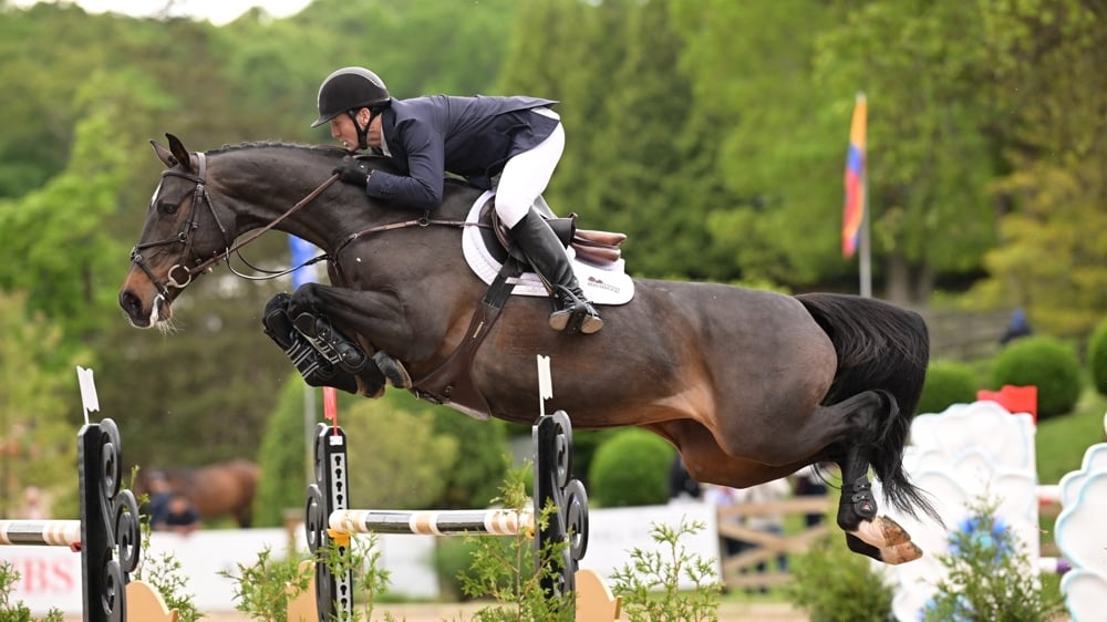 McLain Ward a imposé Callas, dix-sept ans, à North Salem, concours qu'il fréquente depuis plus de trente ans.