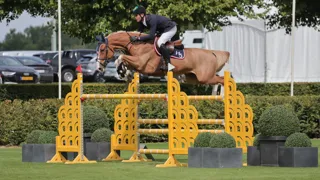 Excellent Sunshine Z knap tweede achter Europees kampioen Richard Vogel