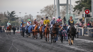 Prix de Cornulier