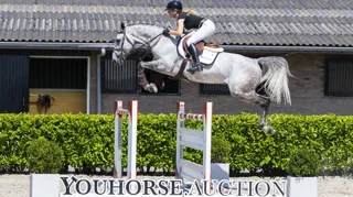 De internationaal op 1.40m-niveau ervaren Mijn Dutch SF (Carrera VDL x Indorado) werd de veilingtopper van de Holiday Auction in augustus. 