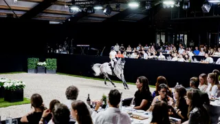 The Collection Auction revient le 3 juillet aux Pays-Bas avec plus de vingt chevaux de sport de qualité à vendre.
