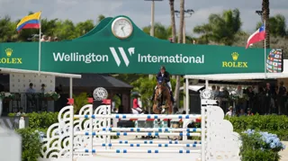 Colibelle Hero Z  is op dreef in Wellington