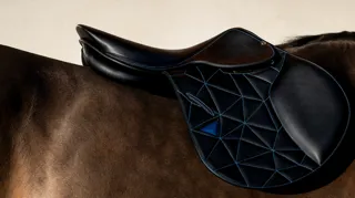 Pour ses quarante ans, Butet Sellier signe une collection exclusive de quarante selles d’obstacle avec l’artiste Richard Orlinski.