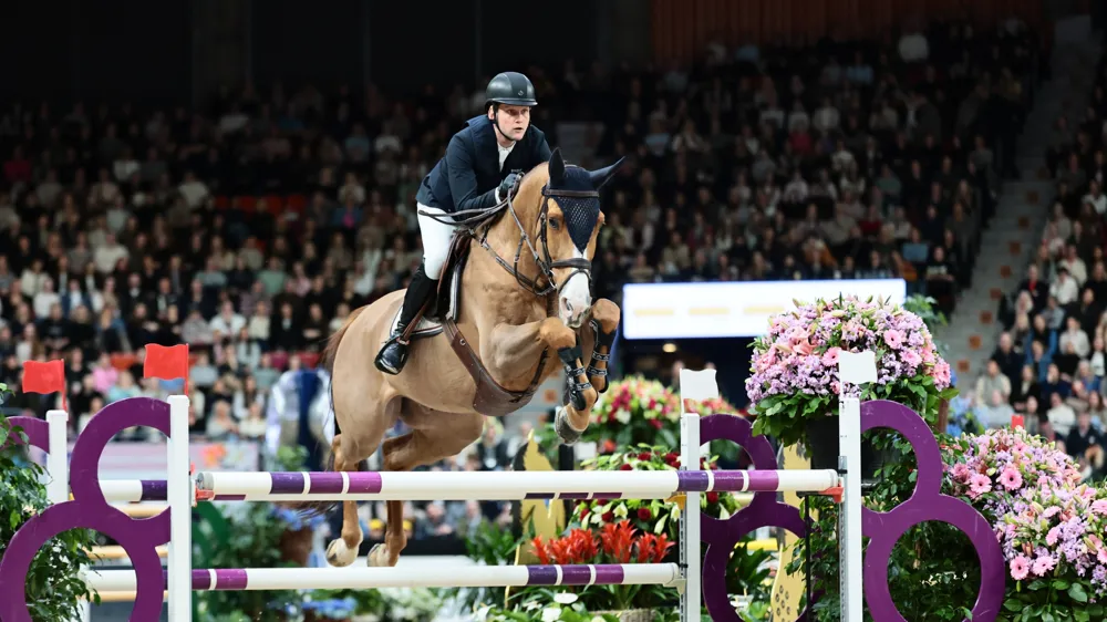Cet hiver, Equine America*Harwich VDL s'est montré au meilleur de sa forme et a enchaîné les classements en Grands Prix 5*, notamment sur le circuit de la Coupe du monde.