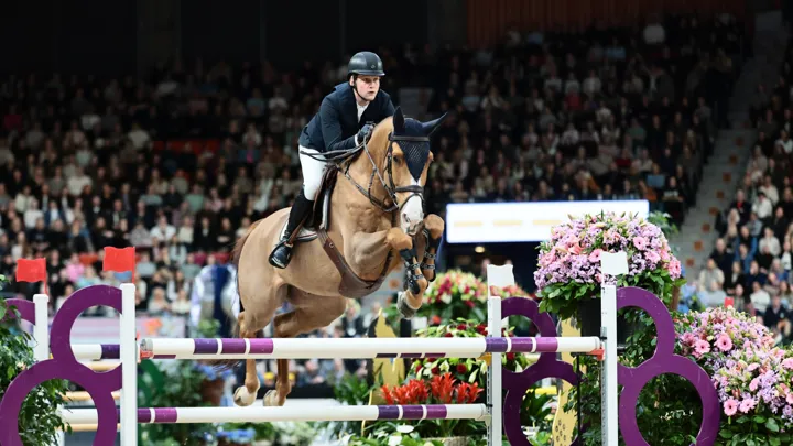 Cet hiver, Equine America*Harwich VDL s'est montré au meilleur de sa forme et a enchaîné les classements en Grands Prix 5*, notamment sur le circuit de la Coupe du monde.