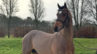 Rocco Q schittert op Sunshine Tour en verhuist naar Doron Kuipers