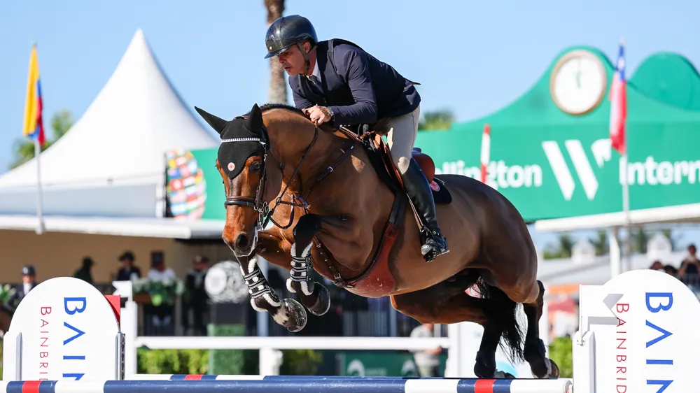 Le champion olympique Rodrigo Pessoa s’est offert Prins van’t Eigenlo, un fils de Vigo d’Arsouilles à la souche fournie et très en vogue, et ancien complice de Roger-Yves Bost.