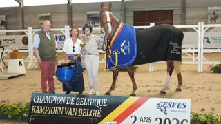 De overwinning ging naar All In Féé des Sources Z