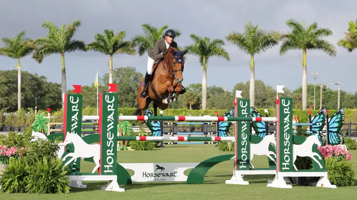 Ben Maher et Aventador S ont déjà fait leurs débuts ensemble et ont pris la quatrième place d’un Grand Prix national à Wellington le week-end dernier.